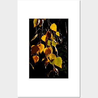 Autumn Leaves Posters and Art